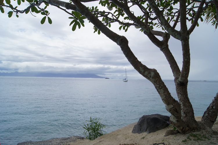 A view of Moorea from the back of the resort.