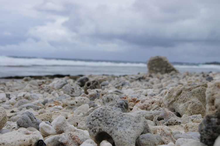 Many of the beaches in French Polynesia are covered with pieces of coral that have broken off from the reefs.