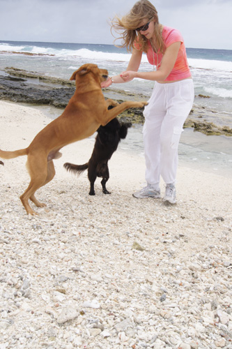 Holly making friends with the locals.