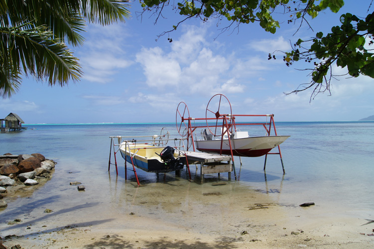 The is how the locals hang up their boats when not in use.