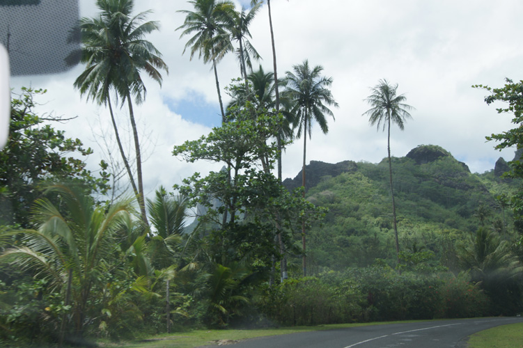 Driving around Moorea in another Fiat Panda.