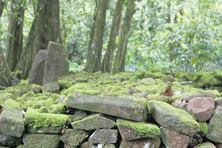 The remains of a temple wall. 