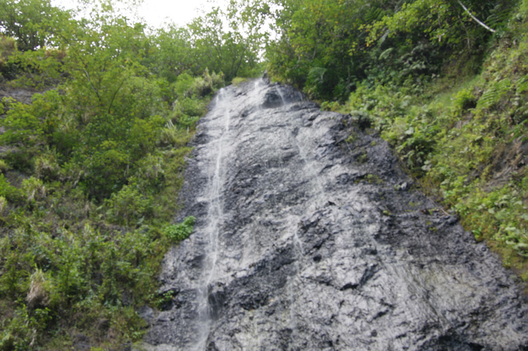 We hiked through another jungle to find this waterfall.