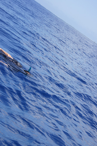 Our guide jumped in the water. Shortly after, he invited us all to jump in as well. 